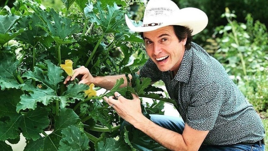 Brat Elona Muska transformiše poljoprivredu: Zdravu hranu uvodi u škole