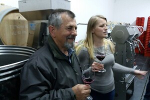 Muškat ruže porečke - obitelj Ritoša nastoji udahnuti novi život autohtonoj sorti