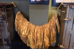 Hercegovci su veliki radnici, duvan švercovali i pre 100 godina