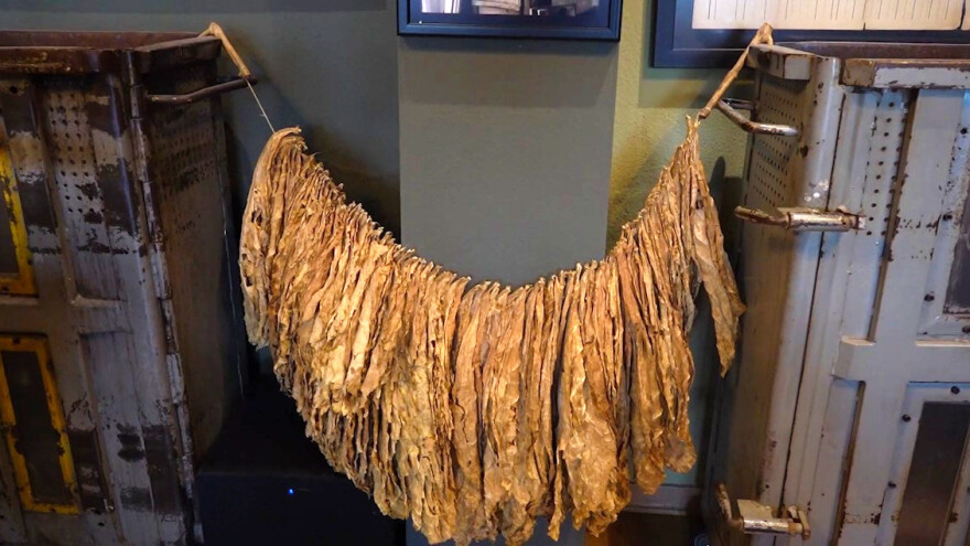 Hercegovci su veliki radnici, duhan su švercali i prije 100 godina