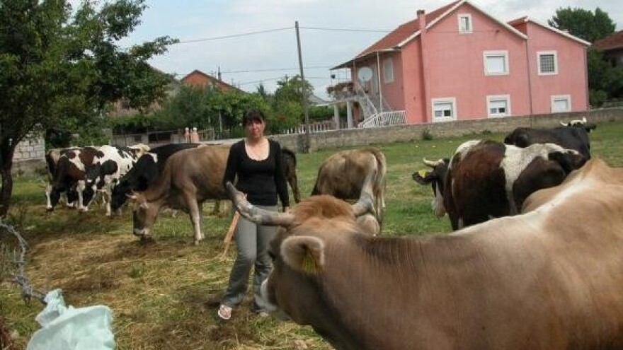 Slavonija proizvodi što Jadran potroši