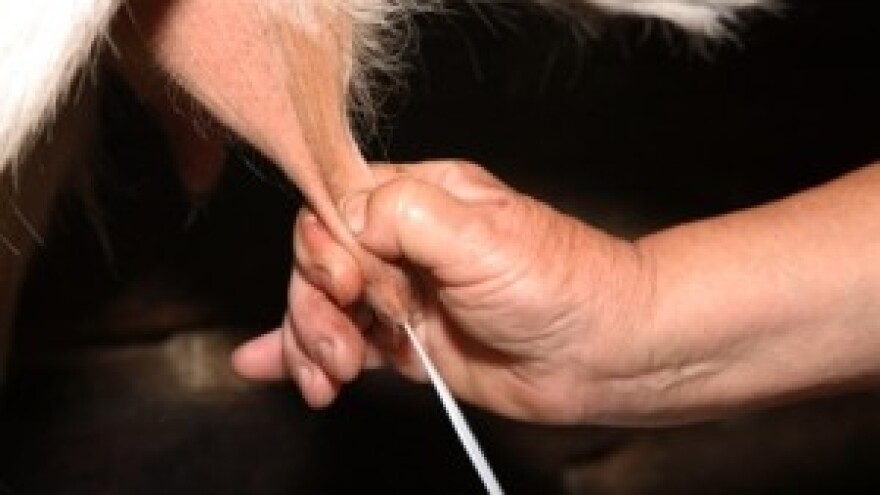 Kontrola muzne opreme u Bjelovarsko - bilogorskoj županiji