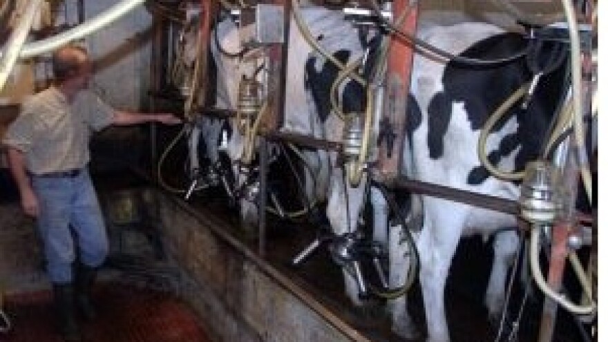 Hrvatskoj dnevno nedostaje čak 500.000 litara mlijeka