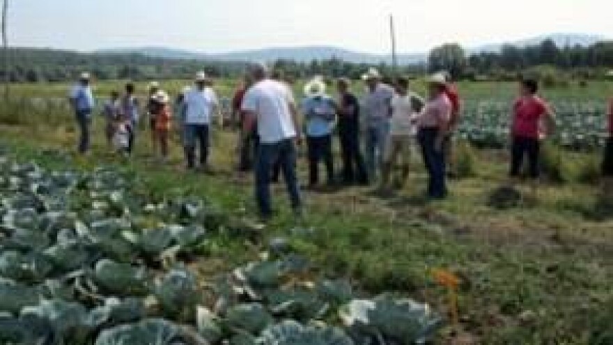 Na seljačkim se leđima batina lomi
