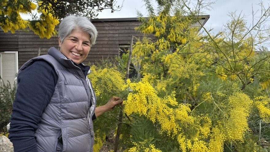 Jedina eko farma na Lošinju u neizvjesnosti: Strahuju od proširenja zračne luke