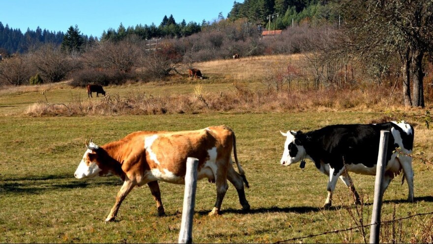 Počelo godišnje istraživanje farmi u BiH na 10.551 odabranom gazdinstvu