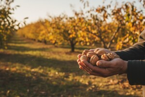 Na policama dm-a eko orasi OPG-a Kovač