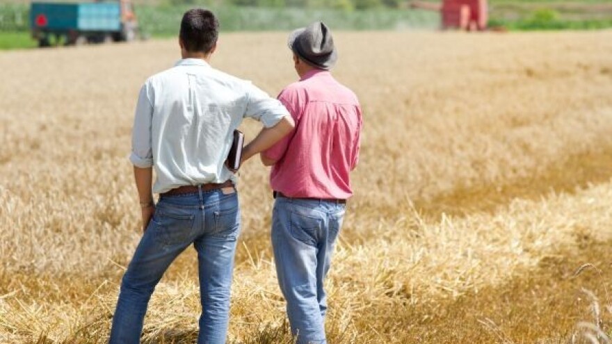 Cijene žitarica diktiraju Amerikanci?