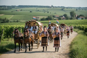 Na putu vina i starina