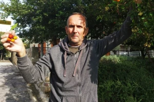 Šampionske žestice obitelji Bilušić od voća iz nasada netretiranih pesticidima