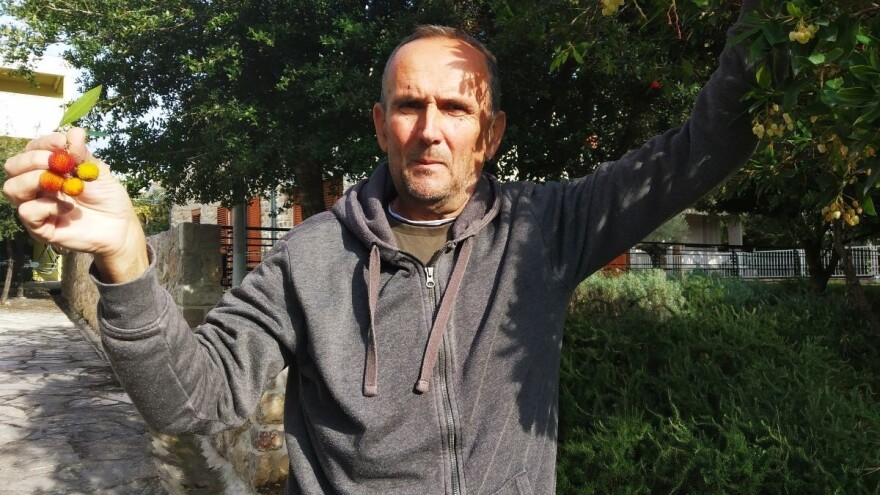 Šampionske žestice obitelji Bilušić od voća iz nasada netretiranih pesticidima