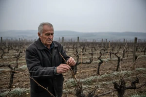 Na vidjelo izašle štete od leda
