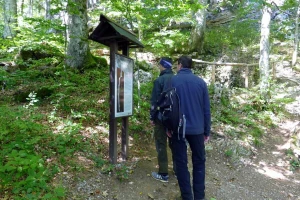 Kroz mjeru 8 do edukativnih staza u risnjačkom masivu, staništu velikih zvijeri