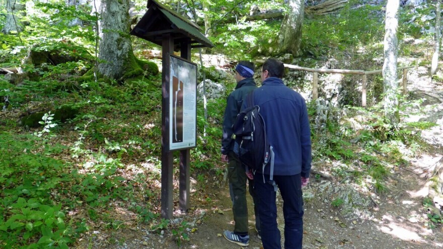 Kroz mjeru 8 do edukativnih staza u risnjačkom masivu, staništu velikih zvijeri