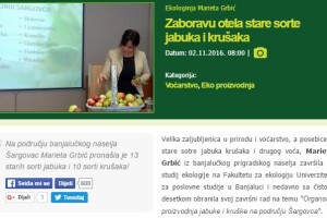 Top 10 najčitanijih tekstova u novembru
