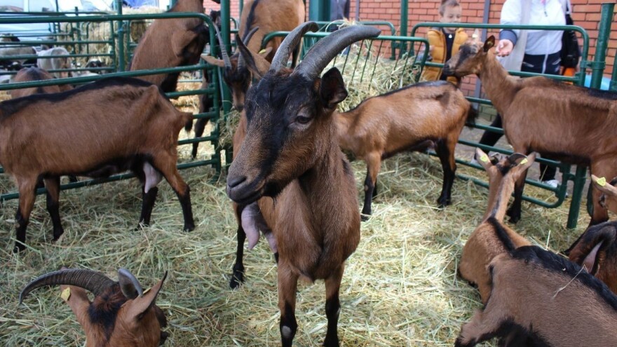 Otvorena Javna rasprava o Nacrtu Pravilnika po modelu ostalih vrsta podrški