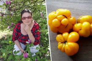 Niko ne zna zašto je Nadin paradajz žut, ni koju dinju uzgajaju