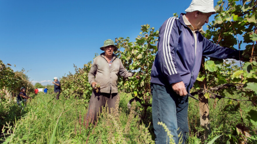 Uskoro prijava za sezonske radnike?
