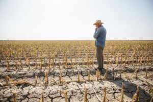 Nadoknada šteta od suše ratarima i stočarima?