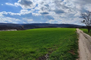 Nagli porast temperature, pa sneg: Pojava bolesti na strnim žitima