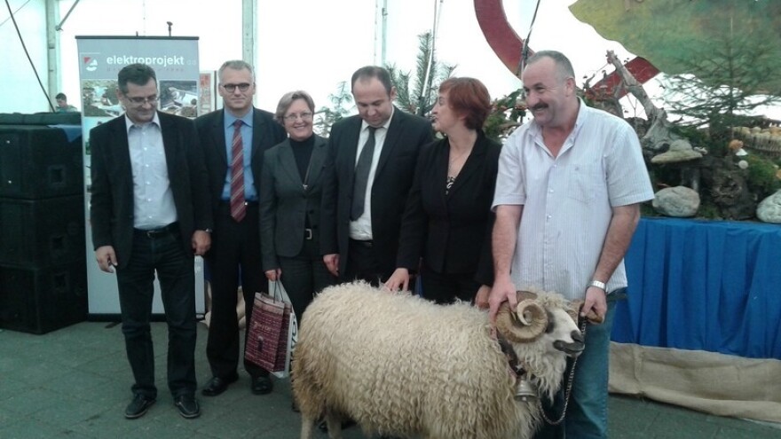 Što kriju torovi bračkih stočara?