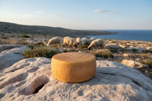 Nagrađivani paški sir sirane "Sirena"