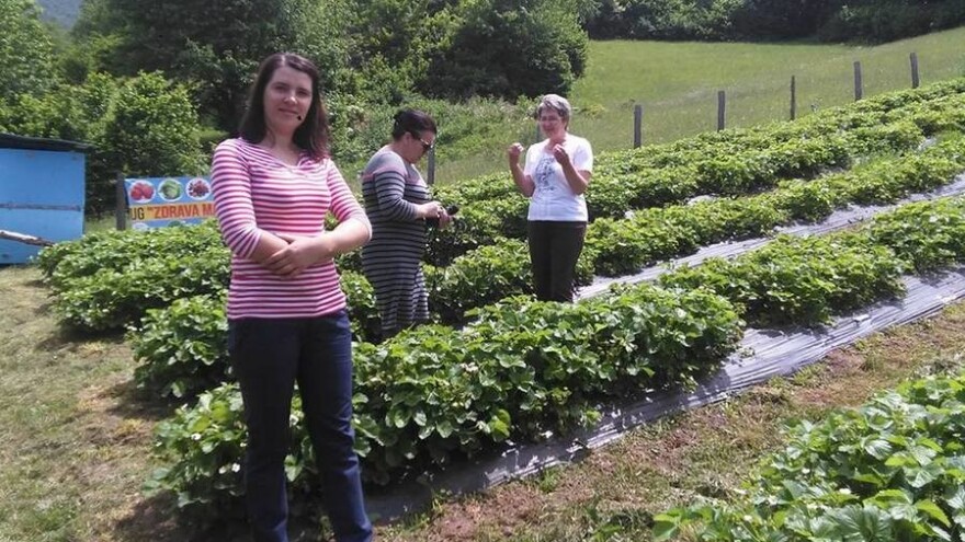 Naila Čaušević: Apliciranje za projekte je jedan od prioriteta u radu Udruženja Zdrava malina