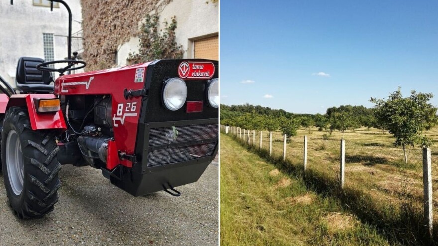 Od Tome Vinkovića do vikendice s 500 čokota: Koje su najatraktivnije ponude iz Oglasnika?