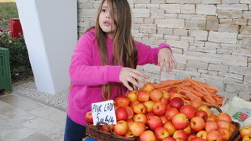 OPG-ovi će zamijeniti komunalna poduzeća?