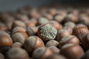 Najčešći uzroci kontaminacije hrane