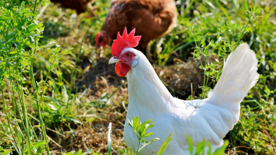 Koje su priče obilježile 2017. godinu?