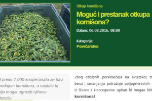 August je iza nas - što ste najviše čitali?
