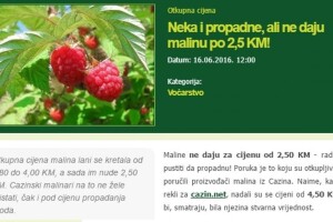 Što vas je zanimalo u junu?