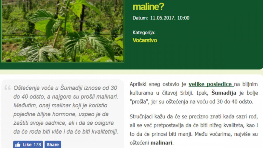 Maline ponovo privlače pažnju