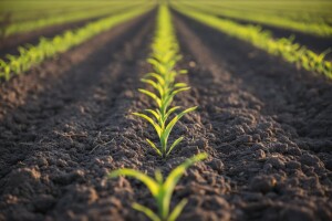 Najduža zaštita kukuruza, soje i suncokreta!