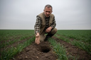 Najezda glodavaca zbog toplog vremena