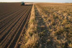 Najskuplja zemlja je ona neobrađena