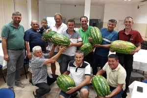 Manji rod bostana zamenila dobra cena