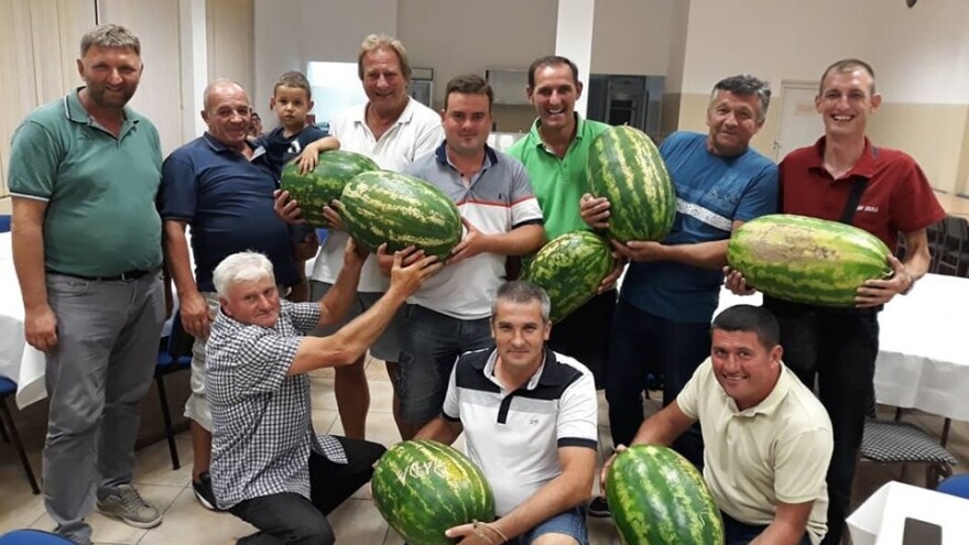 Manji rod bostana zamenila dobra cena