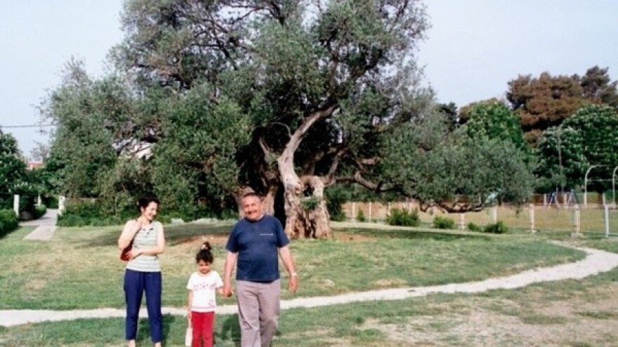 Obrana maslina stara 1.500 godina!