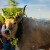 Ovo je najteži bik u Istri, izabrani su i najljepši i najposlušniji