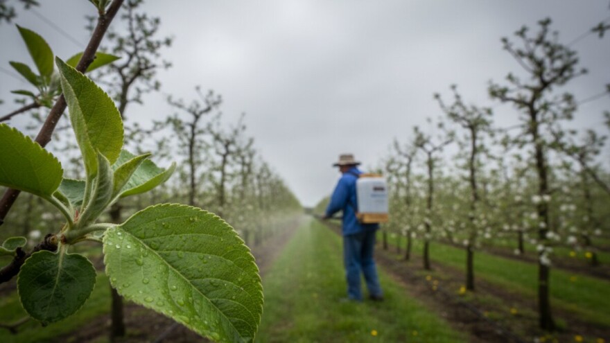 Najuspješnija fungicidna zaštita biljaka