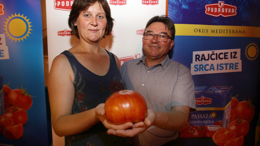 Pobjednička istarska rajčica Ingrid Pribac od gotovo jednog kilograma