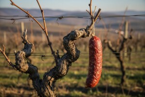 Najveća Vinceška u Baranji!