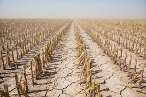 Najveći gubici osiguravatelja ikad