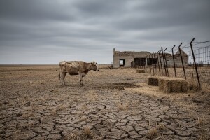 Najveći poljoprivredni prevarant