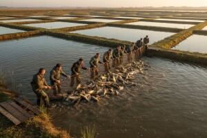Najveći ribnjak u RH obnavlja suradnju sa Česima?