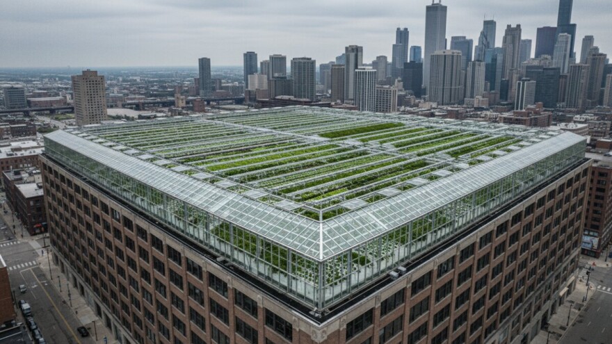 Najveći svetski staklenik na krovu fabrike