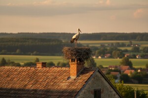 Naknada od 700 kuna za rodina gnijezda