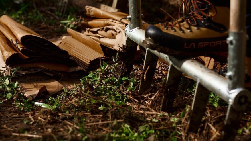 Kako se riješiti puževa? Probajte permakulturni pristup